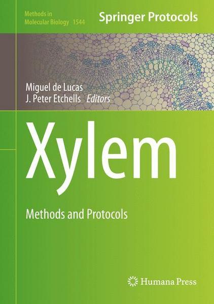 Xylem - Springer US