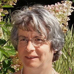 Autor*innenportrait von Agnes Pahler