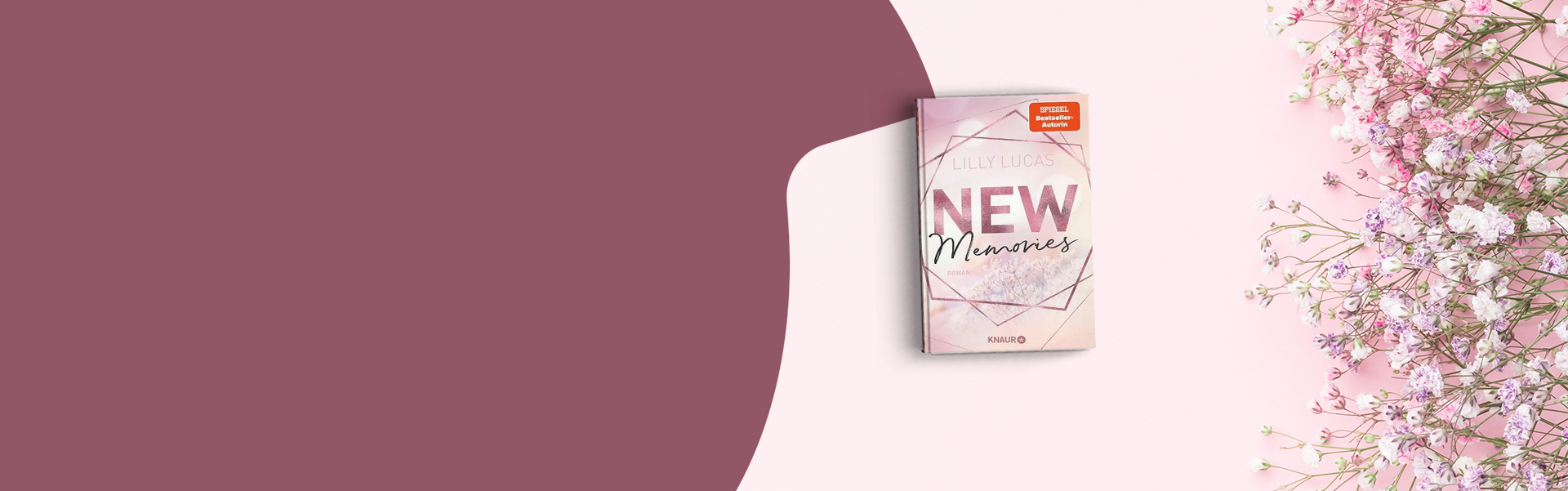 Lilly Lucas: New Memories